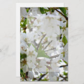 白い花、開花さくらんぼの木 便箋 (正面/裏面)