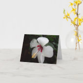 白い花 – Pensandoo en tiスペインの, カード (黄色い花)