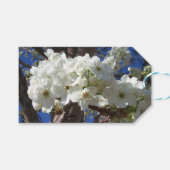 白い花II春開花木 ギフトタグ (正面(横))