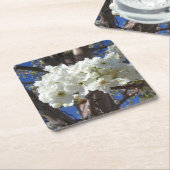 白い花II春開花木 スクエアペーパーコースター (アングル)