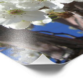 白い花II春開花木 フォトプリント            (角)