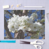 白い花II春開花木 薄葉紙 (クラフト)