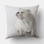 白い英国のブルドッグ クッション (裏面)