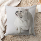 白い英国のブルドッグ クッション (ブランケット)