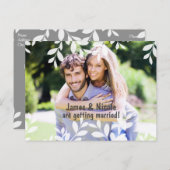 白い葉のモダン植物写真ポストカード 案内ポストカード (正面/裏面)