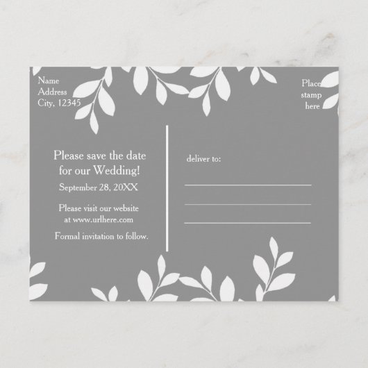 白い葉のモダン植物写真ポストカード 案内ポストカード (裏面)