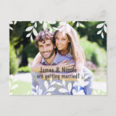 白い葉のモダン植物写真ポストカード 案内ポストカード (正面)