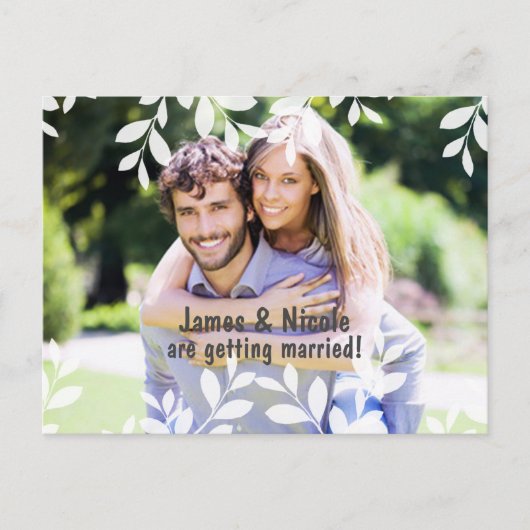 白い葉のモダン植物写真ポストカード 案内ポストカード (正面)