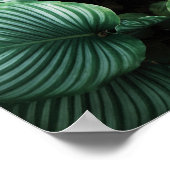 白い葉の植ストライプ物を持つ緑 ポスター (角)