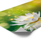 白い蓮の花の風景、禅 ポスター (角)