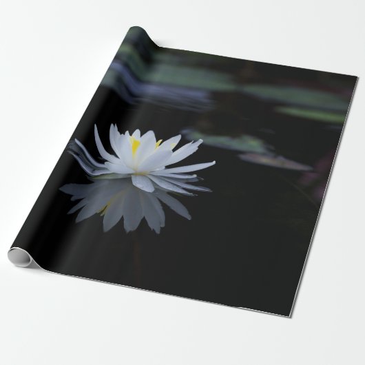 白い蓮の花 ゼン ラッピングペーパー (アンロールド)