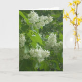 白い薄紫カード カード (黄色い花)