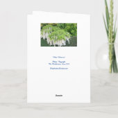 白い藤の美しいガーデン写真! カード (裏面)