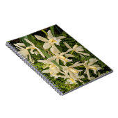 白い蘭とシダのフローラ ノートブック (右側)