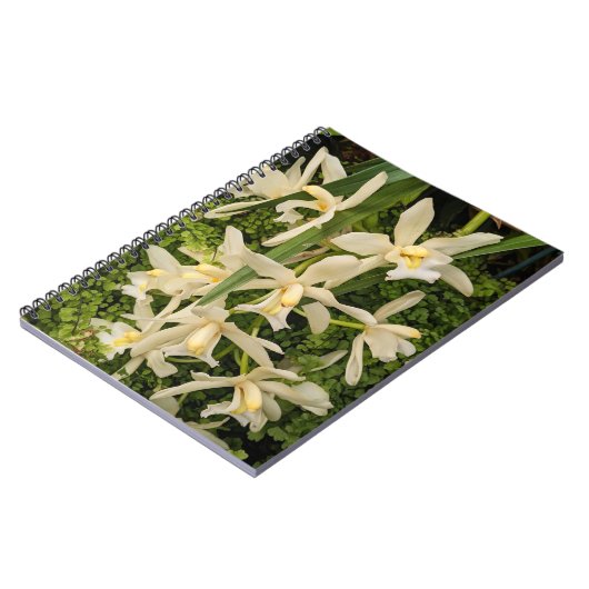 白い蘭とシダのフローラ ノートブック (左側)