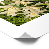 白い蘭とシダのフローラ ポスター (角)