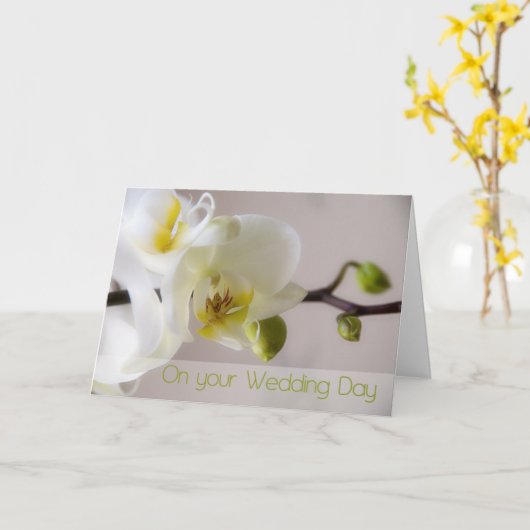 白い蘭のウェディングお祝いカード カード (黄色い花)
