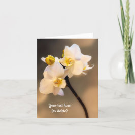白い蘭のグリーティングカード カード