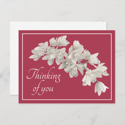 白い蘭のピンクの背考える景のあなたのもの ポストカード (正面/裏面)