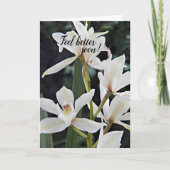 白い蘭のフローラが元気 カード (正面)