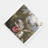 白い蘭の上のハミングバード2羽 (コーナー)