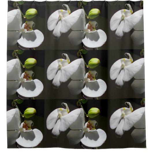 白い蘭の写真，熱帯の白いフローラ写真 シャワーカーテン (正面)