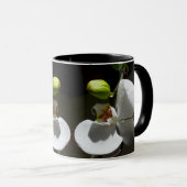 白い蘭の写真，熱帯の白いフローラ写真 マグカップ (正面右)