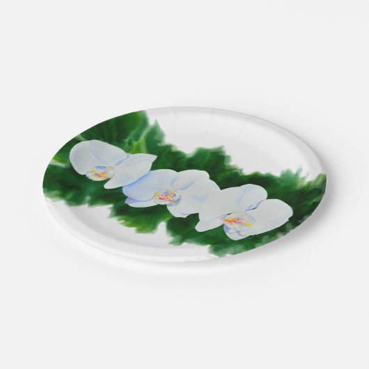 白い蘭の水の色フローラ ペーパープレート (アングル)