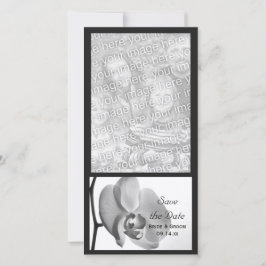 白い蘭の結婚式の日付を保存 セーブザデート