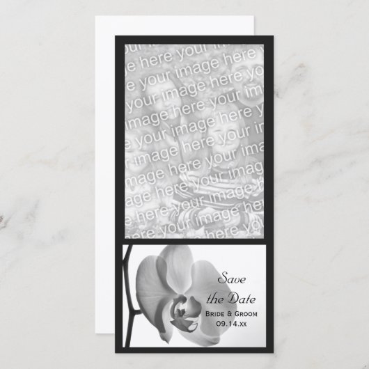 白い蘭の結婚式の日付を保存 セーブザデート (正面/裏面)