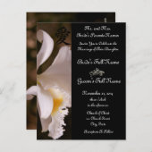 白い蘭の結婚式招待状と好意 インビテーションポストカード (正面/裏面)