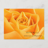 白い蘭の結婚式招待状と好意 インビテーションポストカード (裏面)