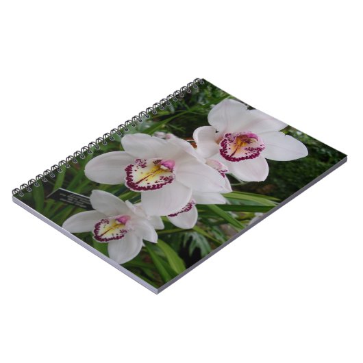 白い蘭の美しい熱帯の花 ノートブック (左側)