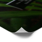 白い蘭の美しい熱帯の花 ポスター (角)