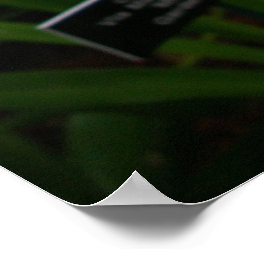 白い蘭の美しい熱帯の花 ポスター (角)