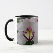 白い蘭の美しい熱帯の花 マグカップ (左)