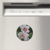 白い蘭の美しい熱帯の花 マグネット (インサイチュ (食洗機))