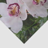 白い蘭の美しい熱帯の花 薄葉紙 (詳細)