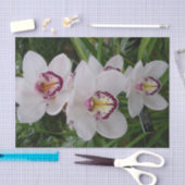 白い蘭の美しい熱帯の花 薄葉紙 (クラフト)