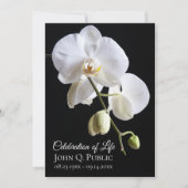 白い蘭の花と黒いお祝い 招待状 (正面)