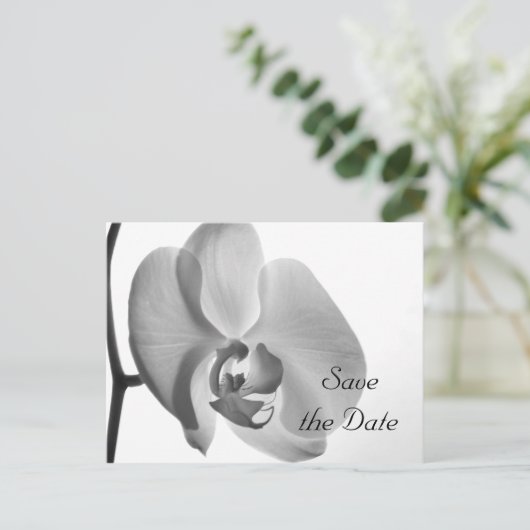 白い蘭の花の結婚式の日付を保存 案内ポストカード (スタンド正面)