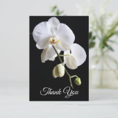 白い蘭の花を黒い葬儀悔やみや弔慰 サンキューカード (スタンド正面)