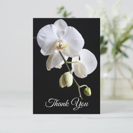 白い蘭の花を黒い葬儀悔やみや弔慰 サンキューカード