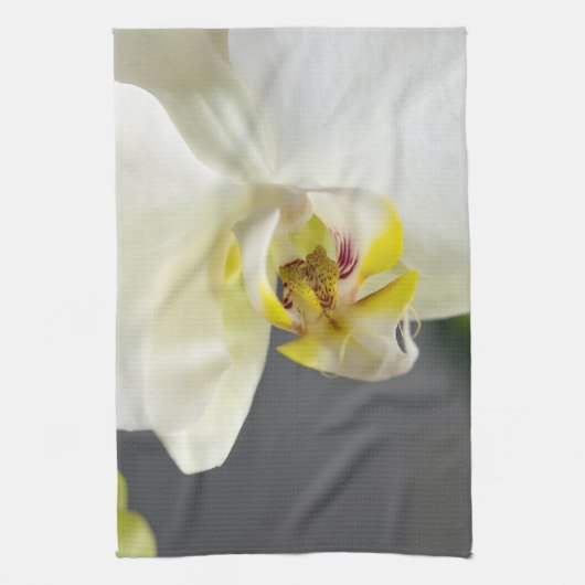 白い蘭の花 キッチンタオル (縦)