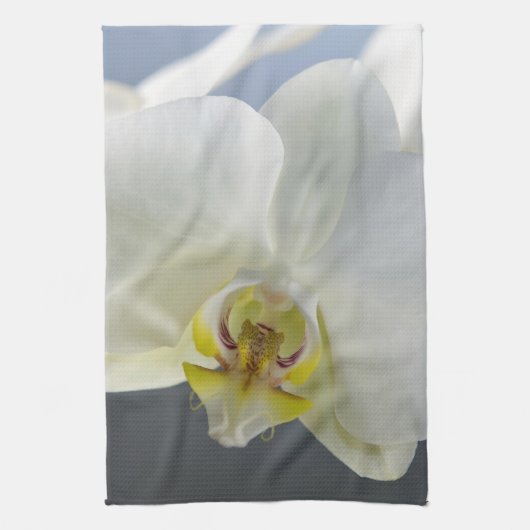 白い蘭の花 キッチンタオル (縦)