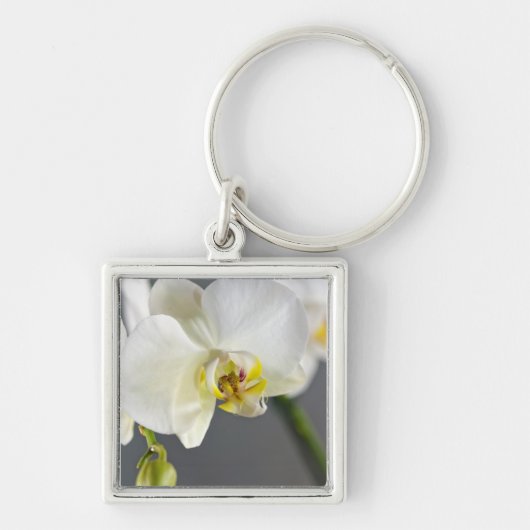 白い蘭の花 キーホルダー (正面)
