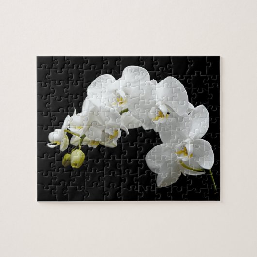 白い蘭の花 ジグソーパズル (横)