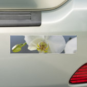 白い蘭の花 バンパーステッカー (車上)