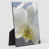 白い蘭の花 フォトプラーク (側面)