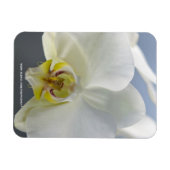 白い蘭の花 マグネット (横)